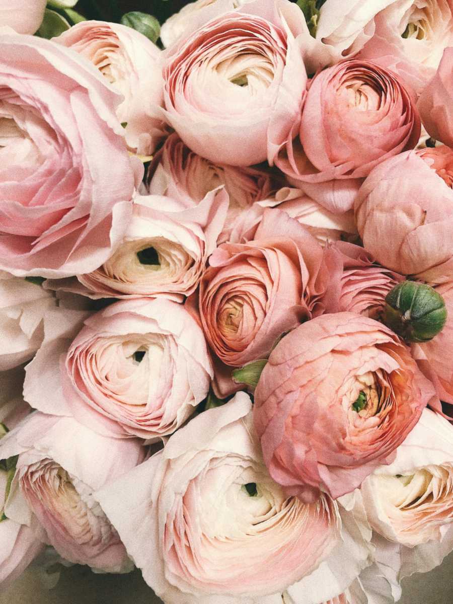Beautiful flowers in Poland
